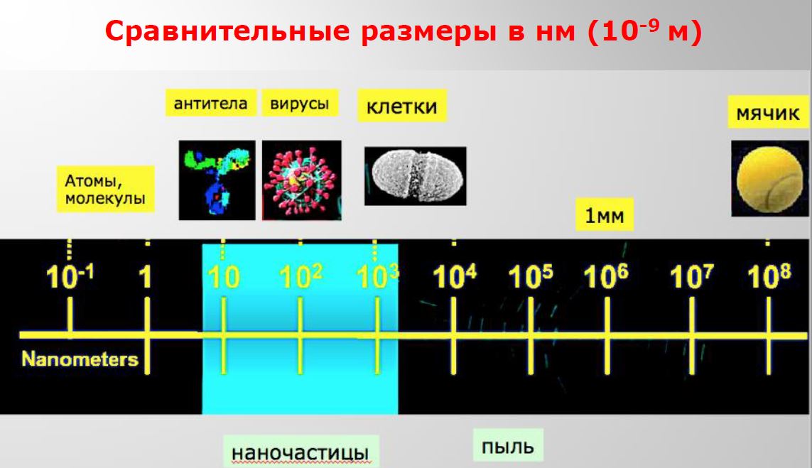 Сравнение размеров частиц. Размер вируса и молекулы. Размеры вирусных частиц. Какого размера вирусы. Сравнение вируса и молекулы.
